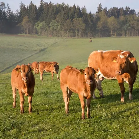 Hubertushof Eifel *
