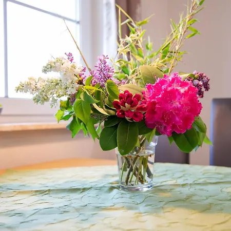 公寓 Hubertushof Eifel Schonbach (Vulkaneifel)