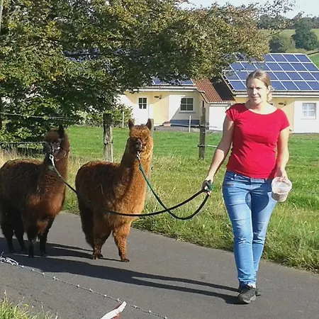 公寓 Hubertushof Eifel Schonbach (Vulkaneifel)