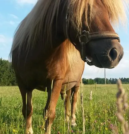 公寓 Hubertushof Eifel Schonbach (Vulkaneifel)