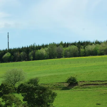 公寓 Hubertushof Eifel Schonbach (Vulkaneifel)